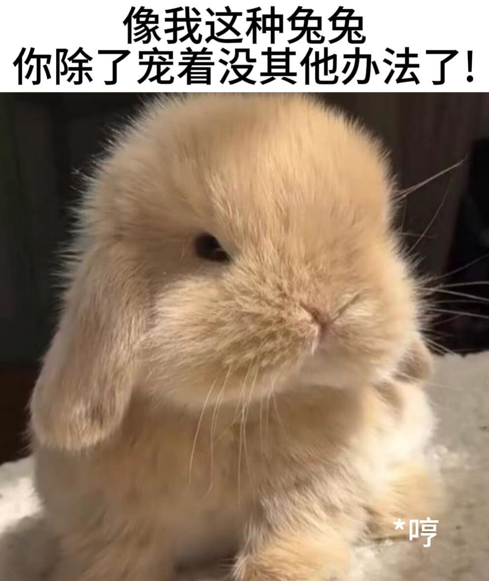 德拉科 ​​​