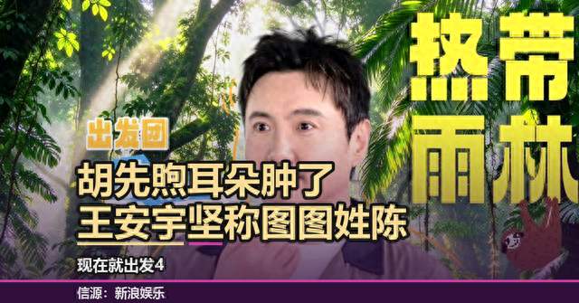 胡先煦耳朵肿了，王安宇坚称图图姓陈
