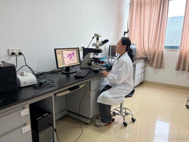 宁波育种专家培育甜瓜铺就甜蜜致富路 市农科院高级农艺师臧全宇深耕甜瓜育种20余年