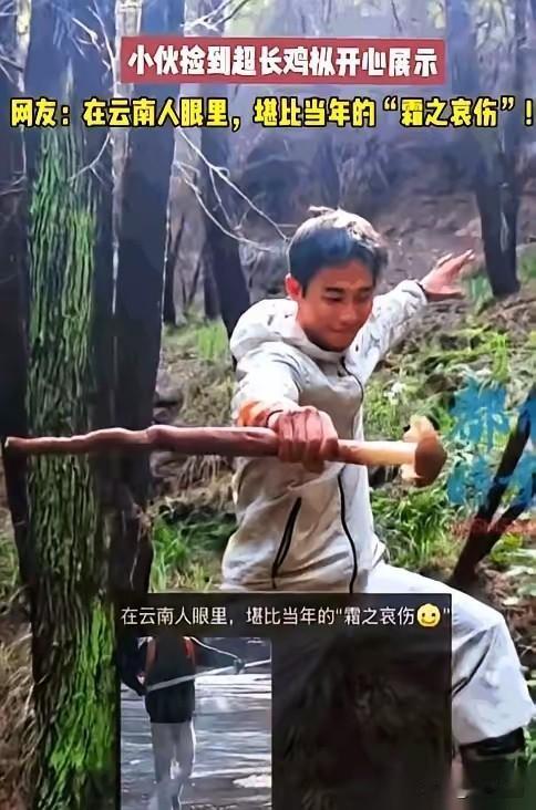 云南人彻底破防了。 就因为重庆一哥们，上山随便溜达了一圈，捡了根66厘米长的鸡枞