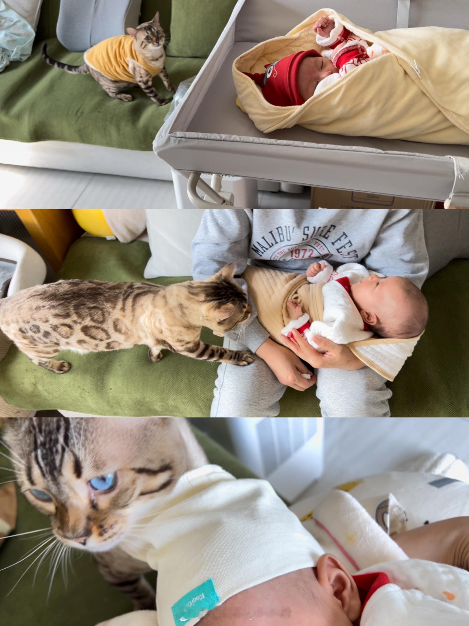 从月子中心回到家啦🐱饼子和豆米见面啦～月子中心的月嫂跟着我们回来指导我们几天接