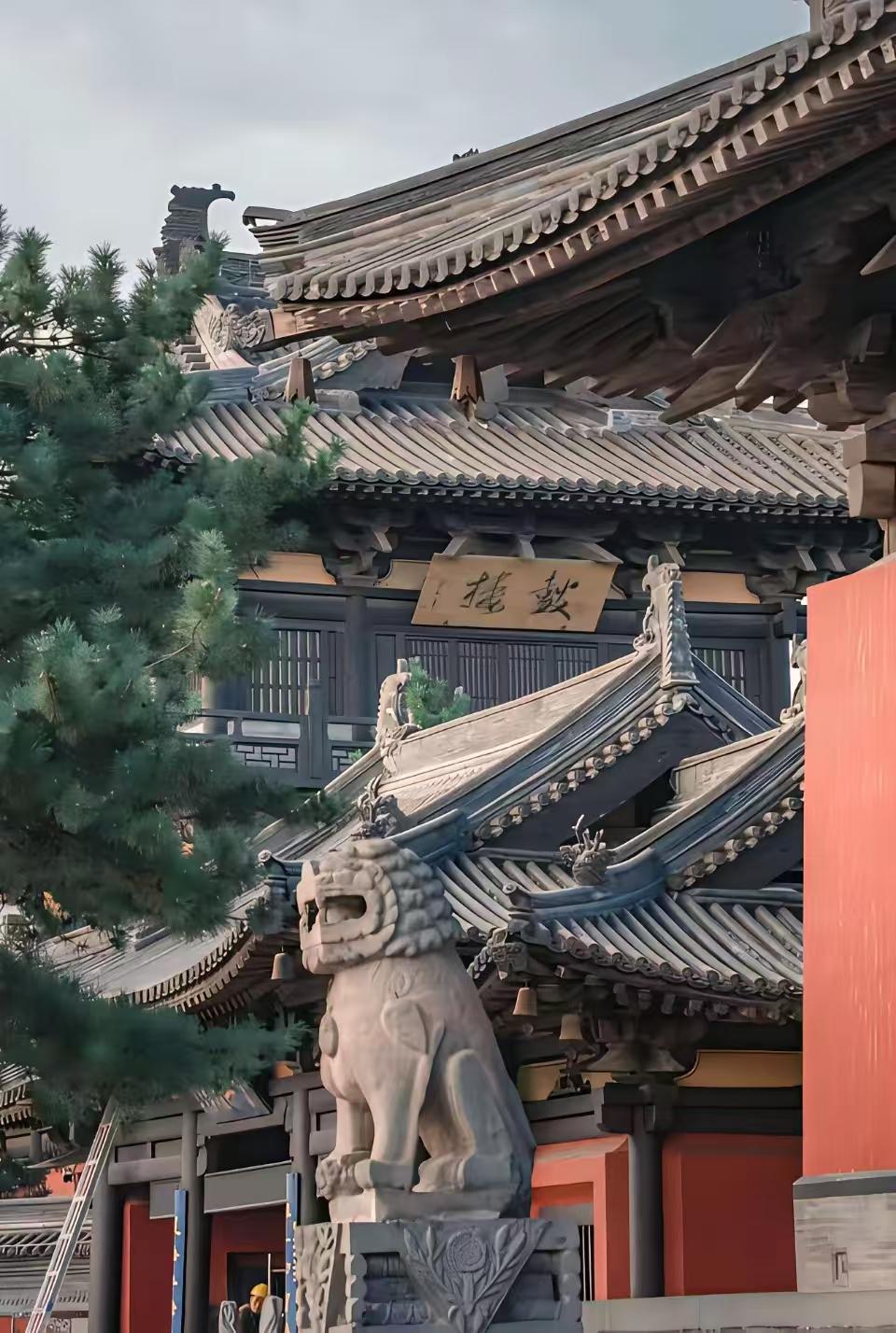 婚外情玩玩就行了，还要闹离婚，更恶心的是还想复婚， 笑死。

别傻了，你可以陪人