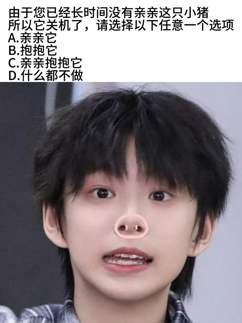 陈思罕[超话]  「产出」摄取猪猪能量🐽 ​​​