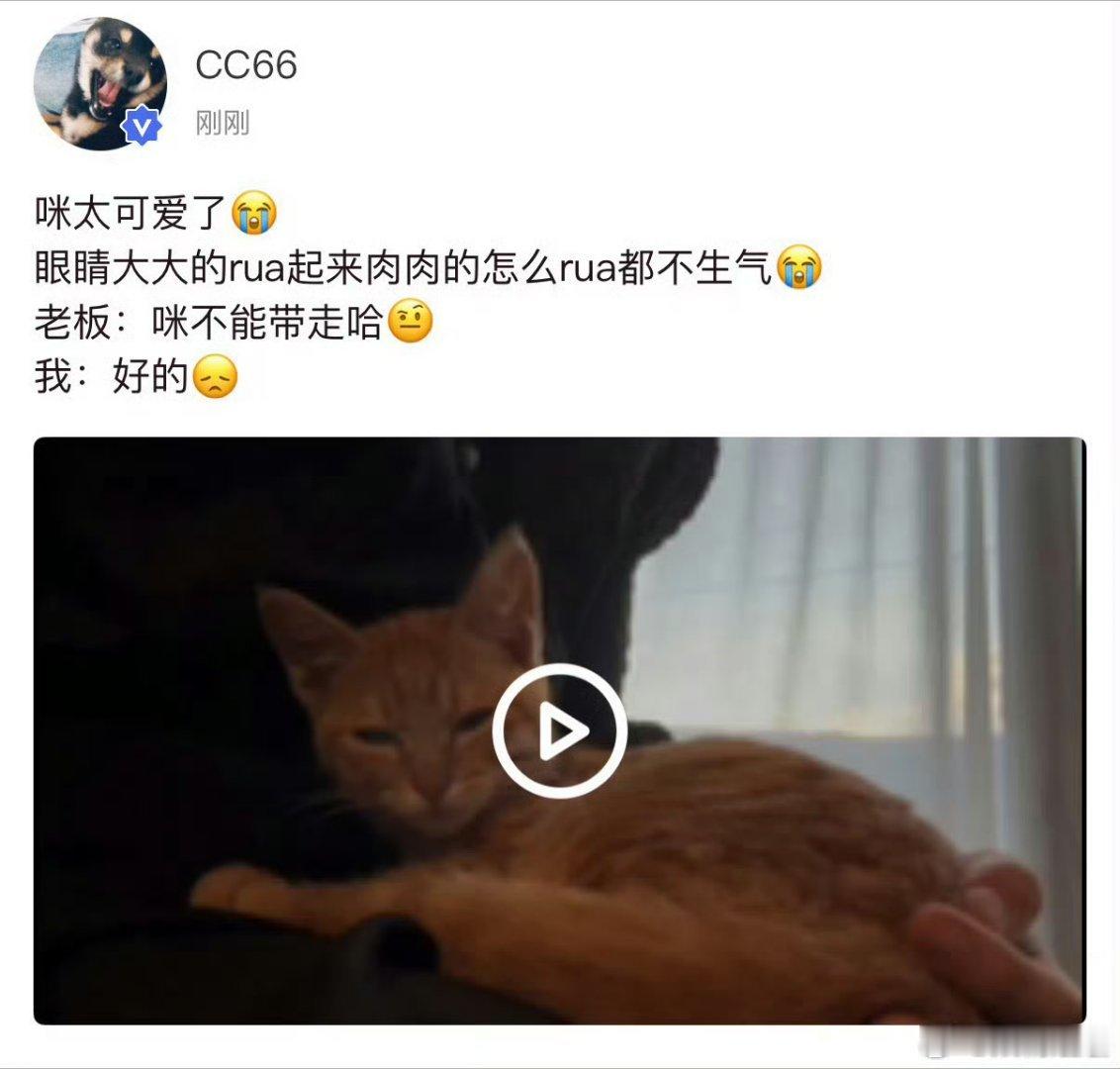 马嘉祺咪不能带走哈马嘉祺