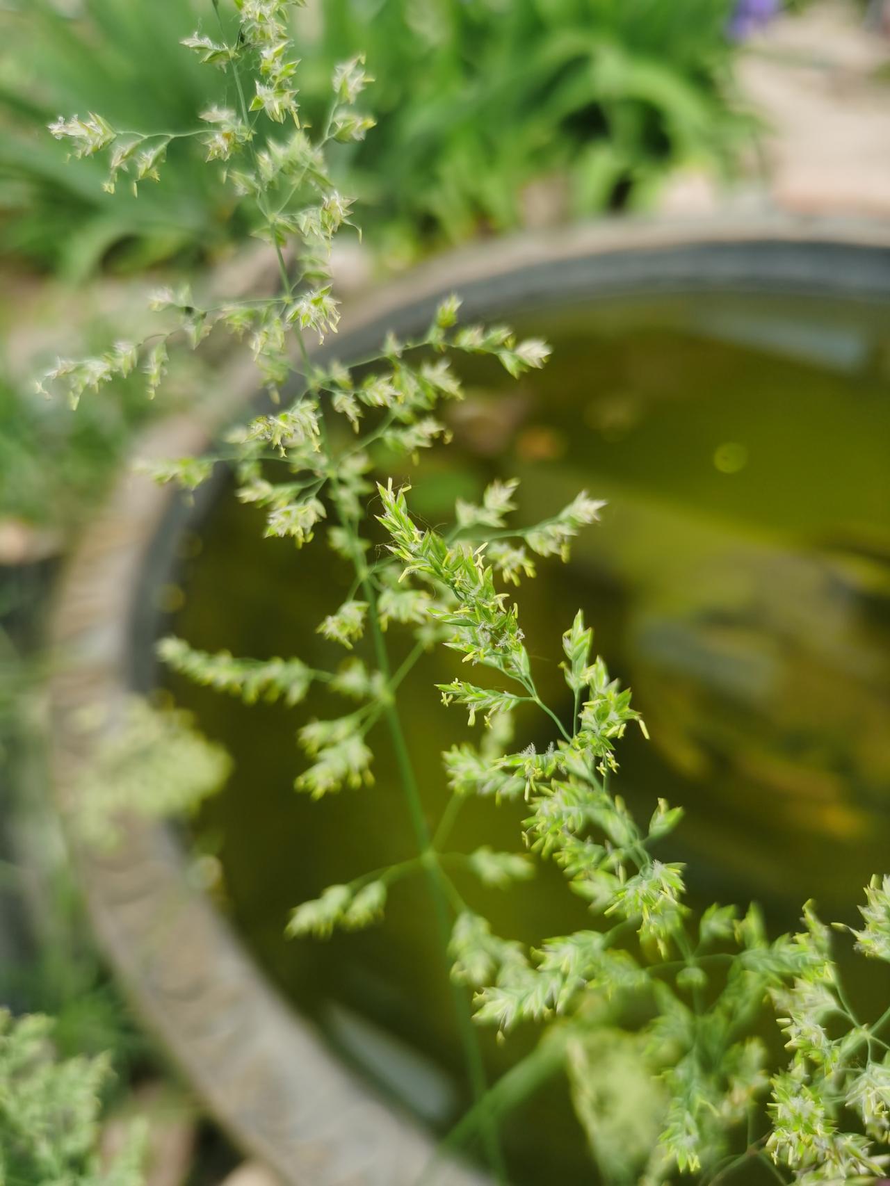可别轻易信任一个滴酒不沾的男人，这类人一切都安排的井井有条，对自己的需要都一清二