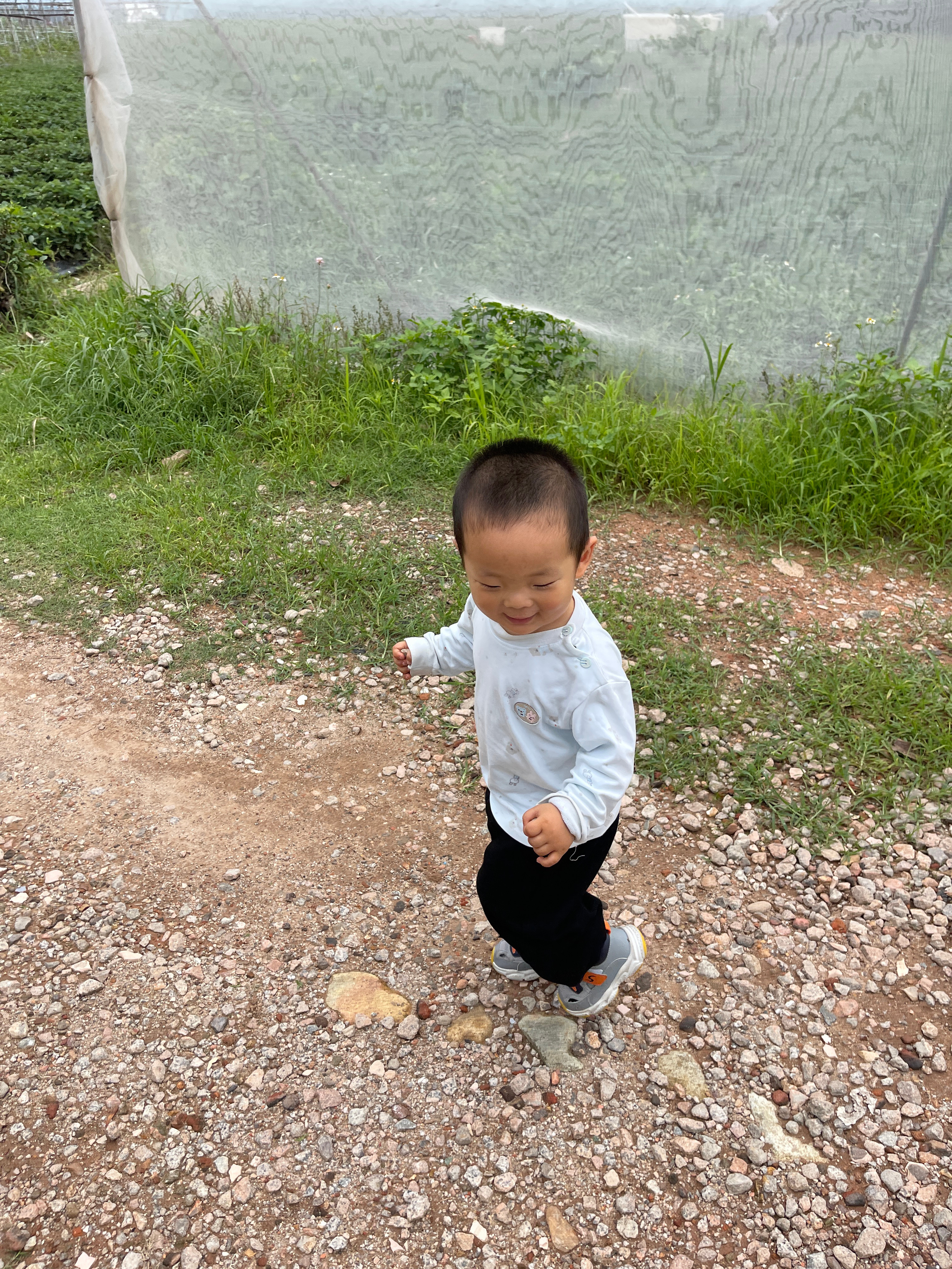 周末闲暇时光，陪乐乐来农场亲近自然，采摘水果。乐乐给我送了一束真的鲜花，有趣好玩