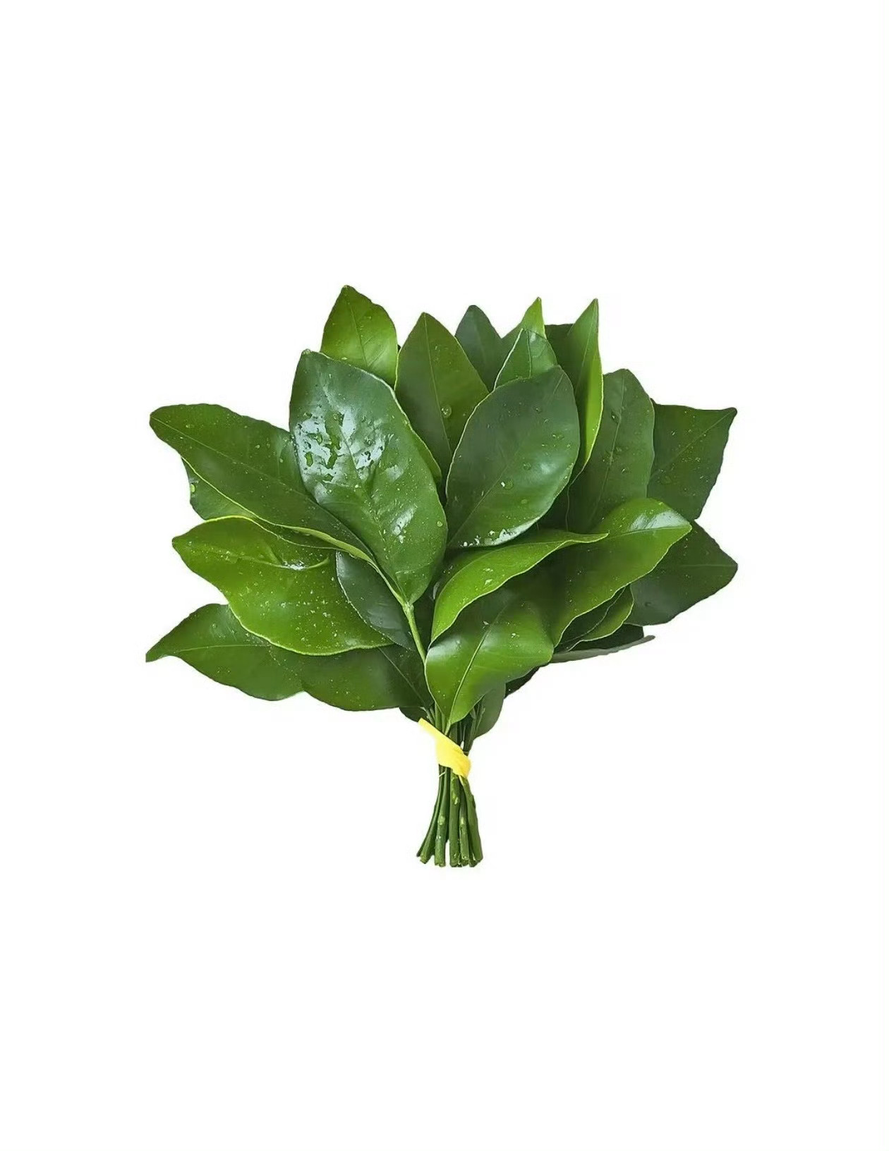 分享图片 ​​​