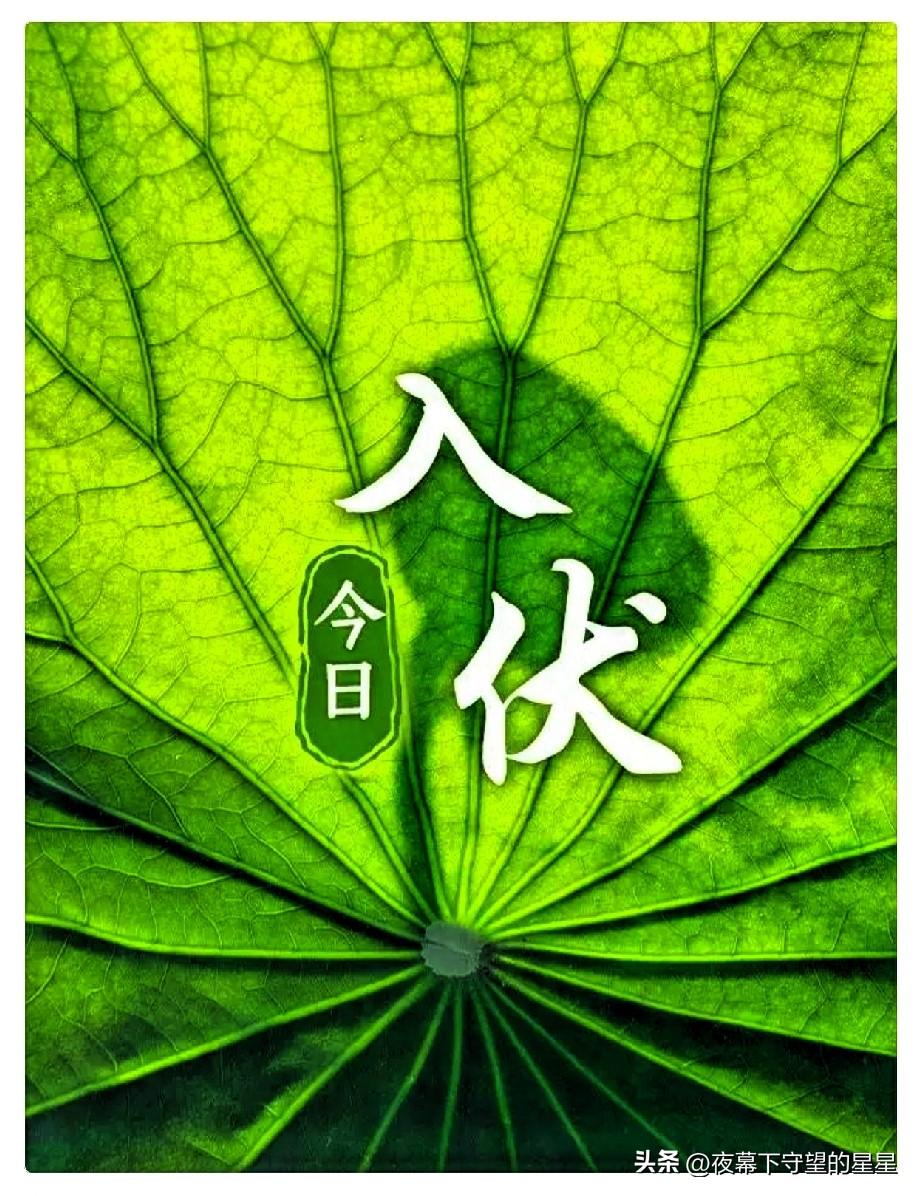 今日入伏！上午9点56分正式进入伏天。俗话说：“早入伏，凉飕飕；晚入伏，热死牛”