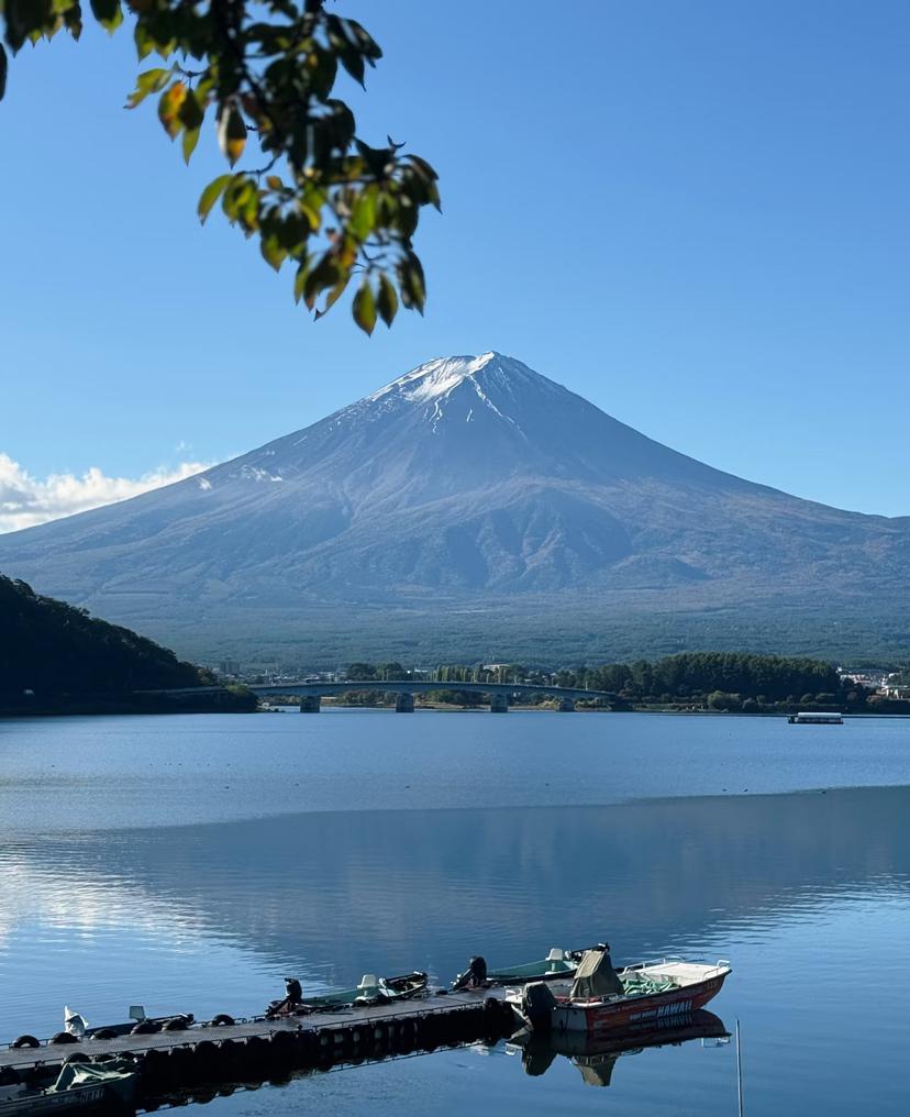 中国由于去日本航班取消，在日本旅游的人回不来。这个一点都不用可怜他们，上海不是有