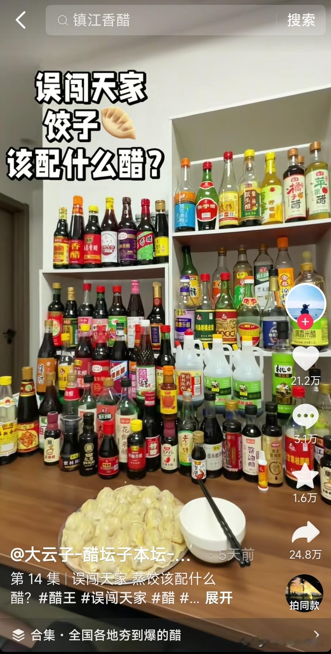 这应该是最全的醋了吧！实在不行一个饺子沾一种醋