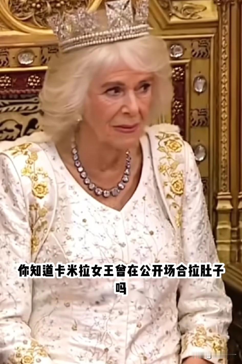 卡米拉加冕当天拉肚子，弄脏礼服，小王子臭的捂住鼻子，事后礼服戴着污滞展出…
她就