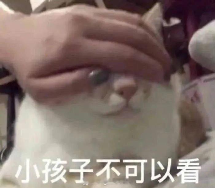 今天的自助推文搭搭楼来喽～ ​ ​​​