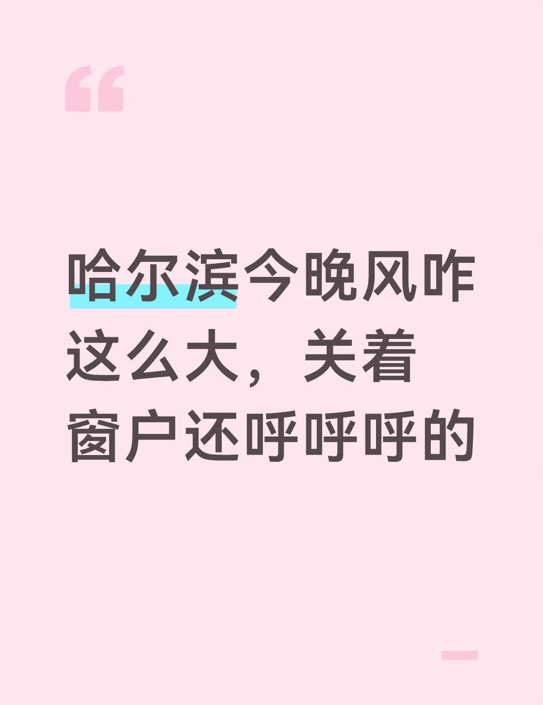 哈尔滨今晚风咋这么大，关着窗户还呼呼呼的