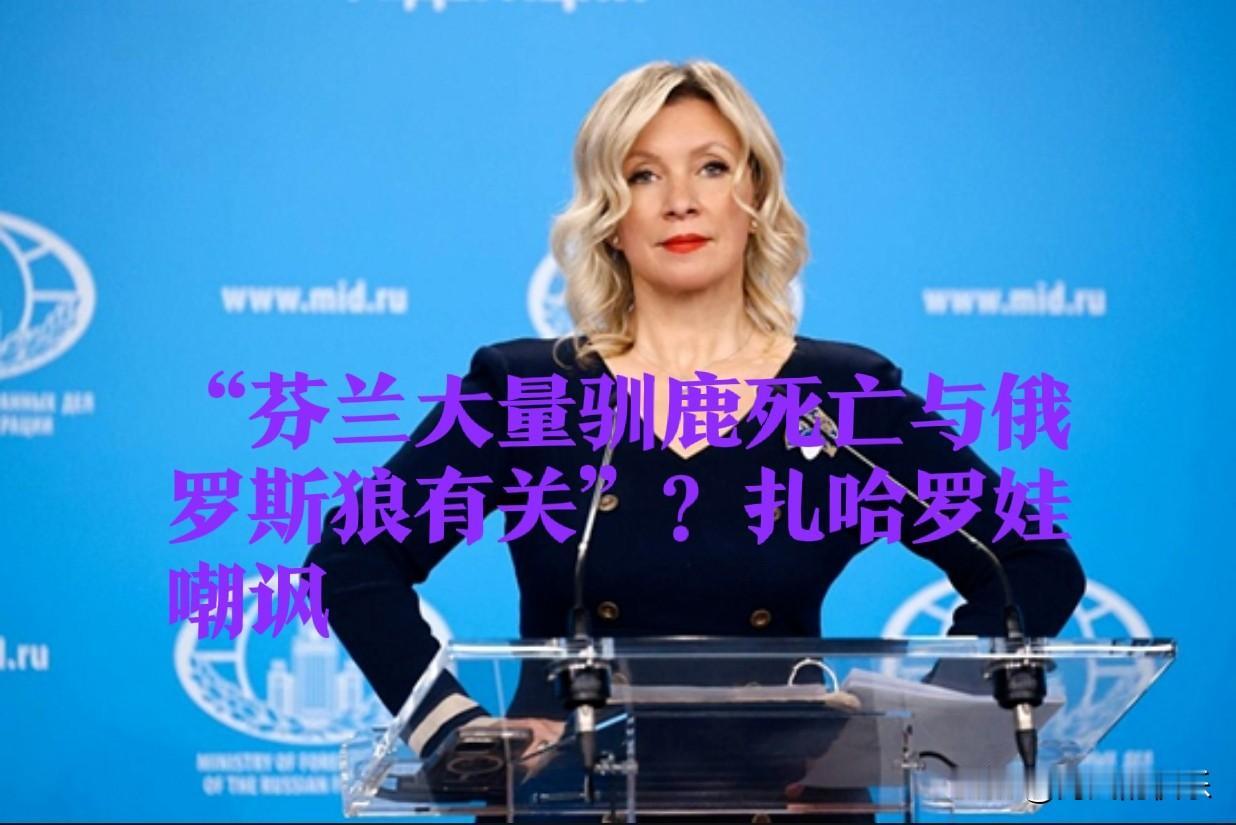 “芬兰大量驯鹿死亡与俄罗斯狼有关”？扎哈罗娃嘲讽

   据外媒塔斯社等媒体报道