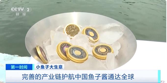 曾经按粒计价的鱼子酱，如今被四川雅安天全县打成了“白菜价”——每克不到10元，却