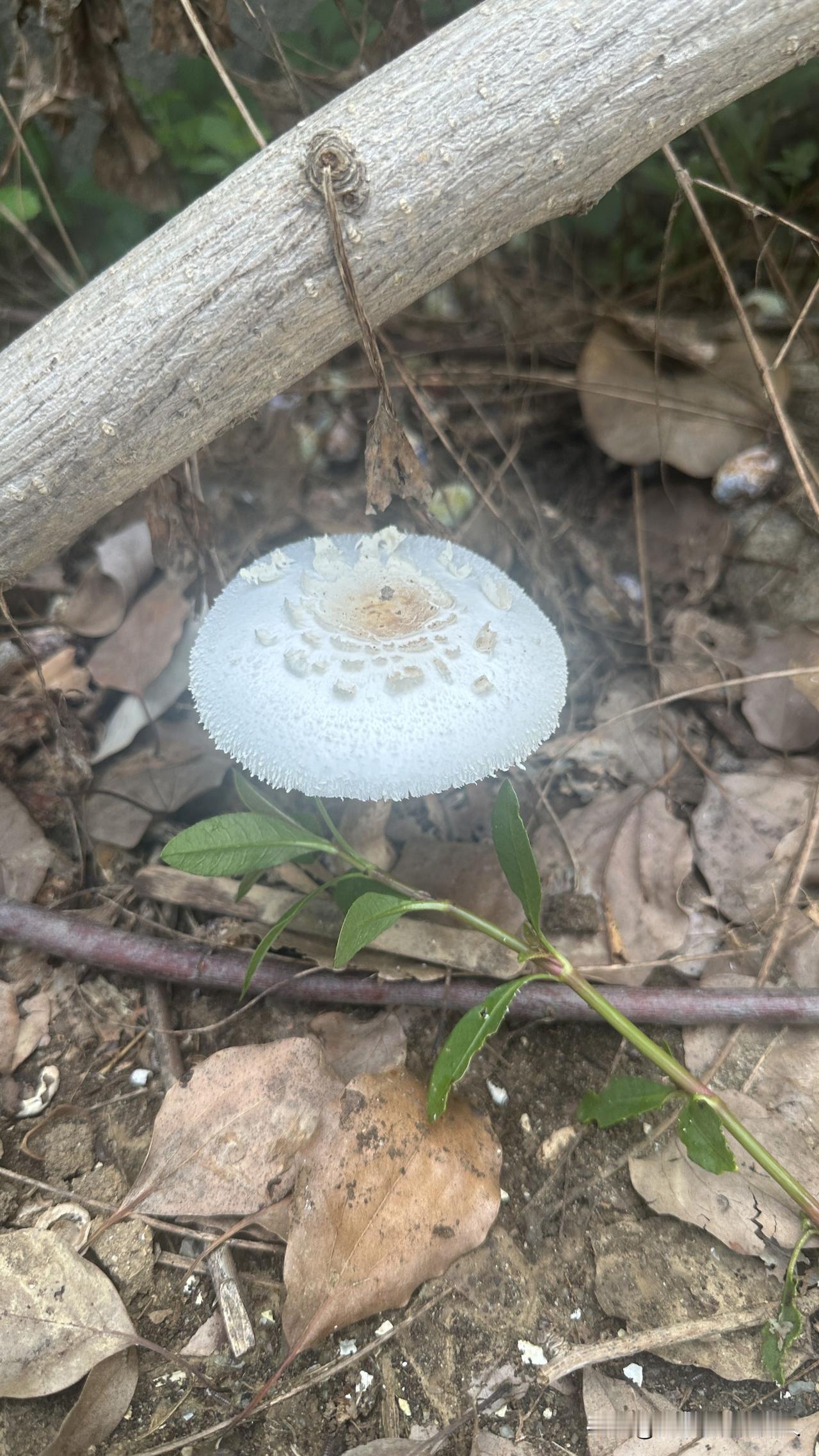 负债逾期的日子里你是怎么过来的？

有人问我，负债逾期的日子是怎么过来的，说实话