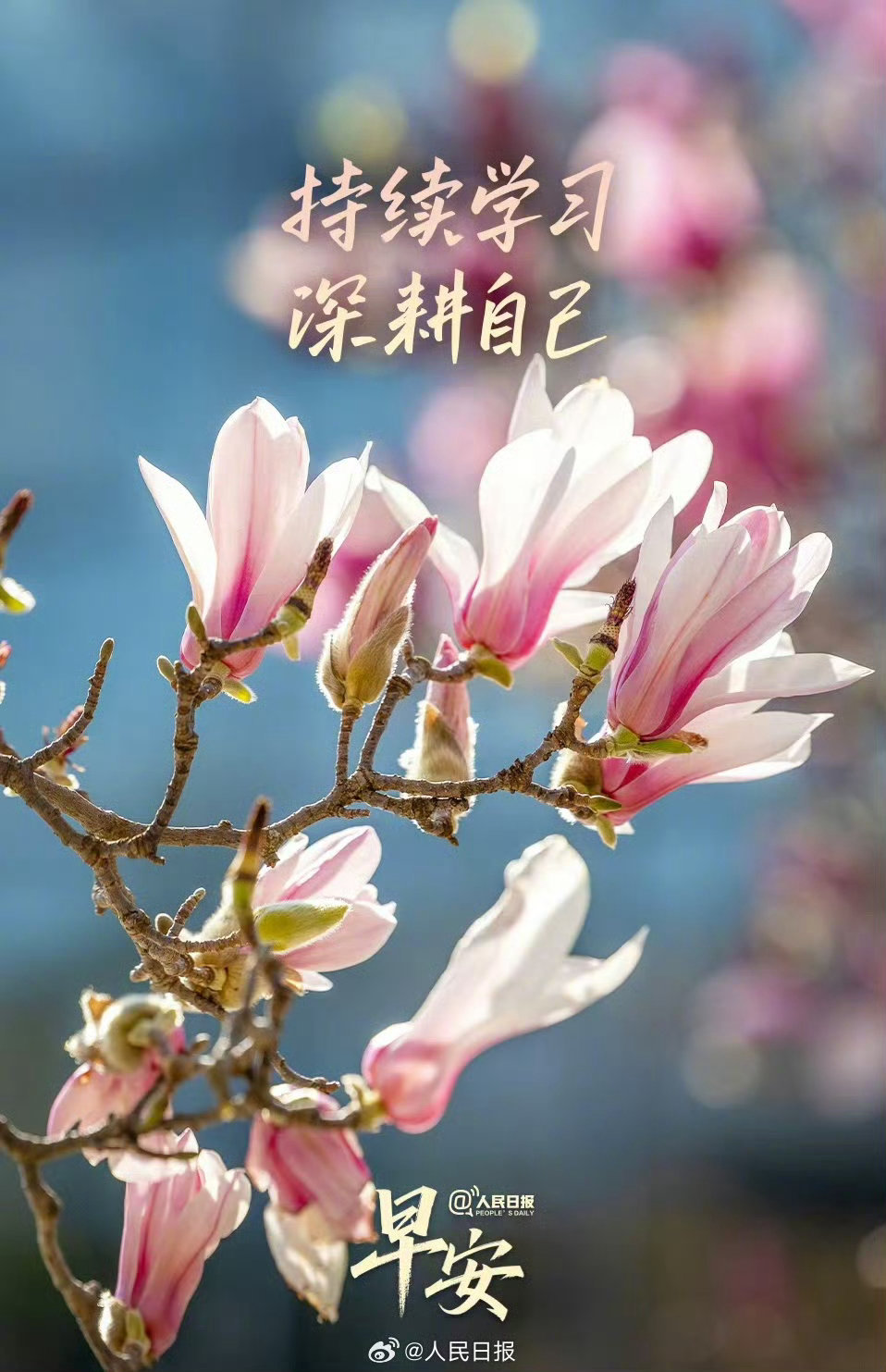 善良是流动的暖阳，你传递的善意终会照亮归途。善念是星，点亮得越多，越能驱散黑暗；