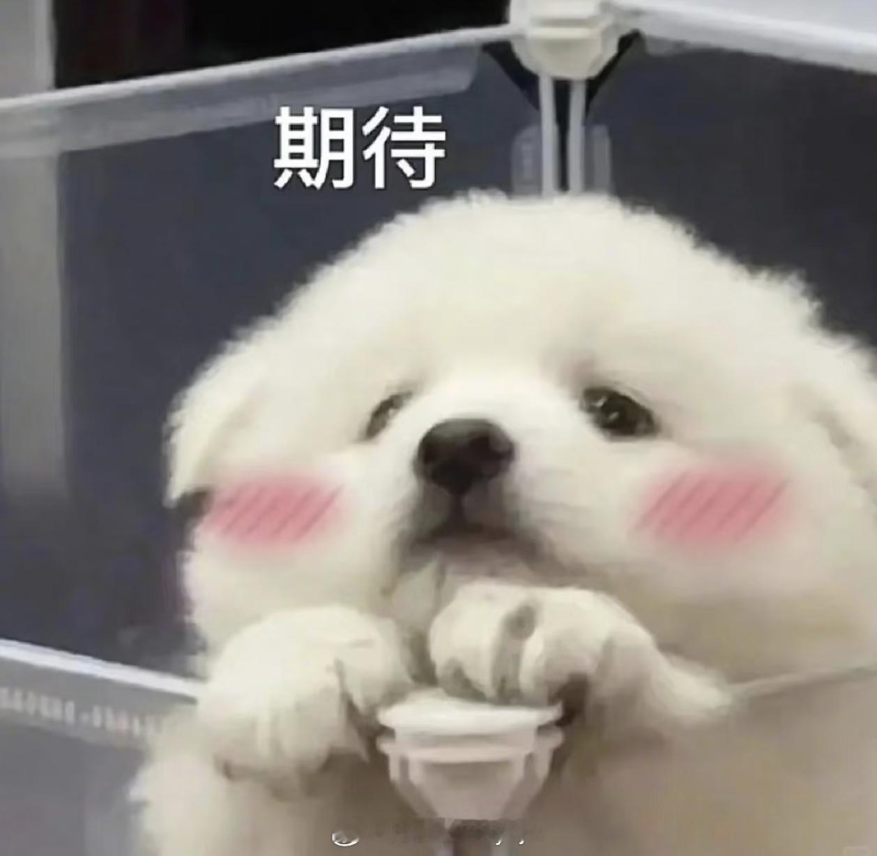 景甜  激动的心，颤抖的手，甜宝宝冒泡了  我在线等