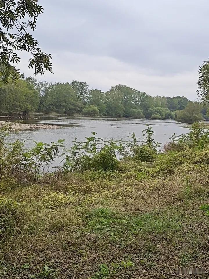 晒图笔记大赛江山港，河流和河边的树木