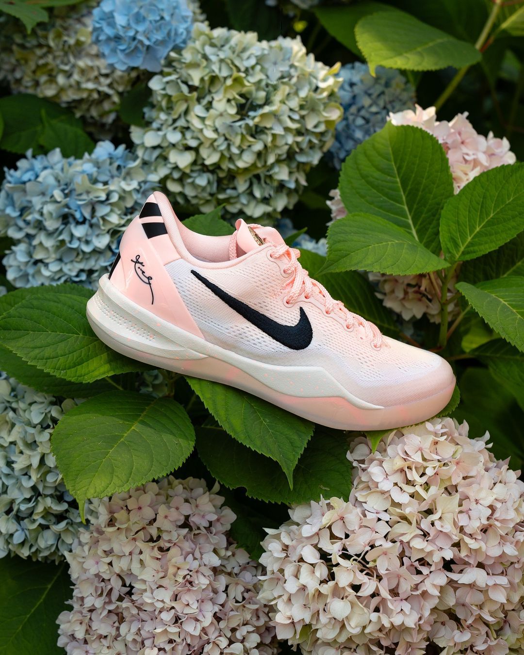 💐💐💐©️nikeeyb ​​​