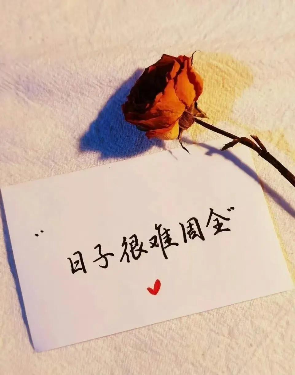 情绪能可控，道理也都懂，中间的过程太难消化，做个没心没肺的人也许就没有这些内在烦