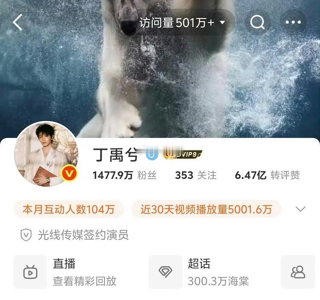 丁禹兮的主页访问量好像一直都是好几百万 ​​​