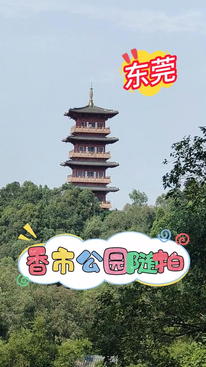 东莞香市公园随拍。
香市公园随拍。