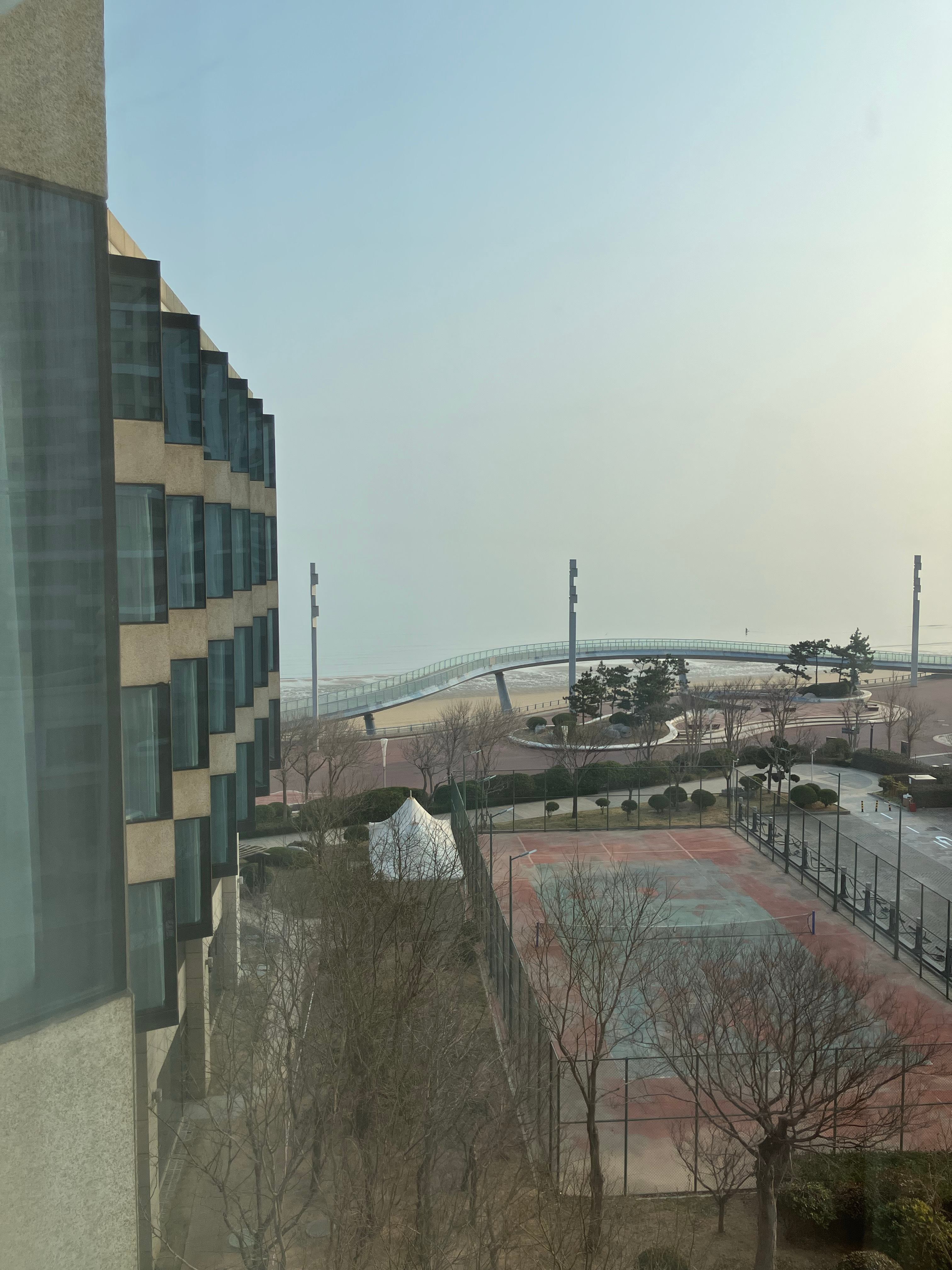 面朝大海，春暖花开。就是喝多了不舒服。 