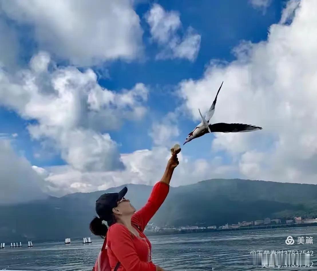 开启到三亚当候鸟之旅（二）

2024年11月18日，上午驾车来到了昆明海埂大坝