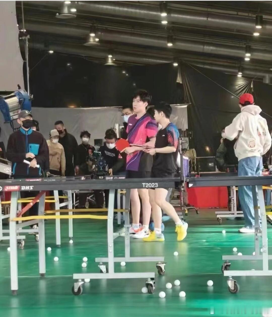 王楚钦 孙颖莎｜没见过的幸福猫猫耶耶哎[兔子] 