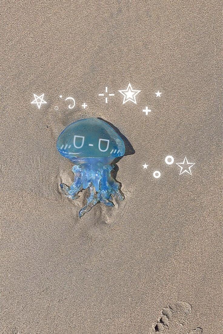 海边🌊 