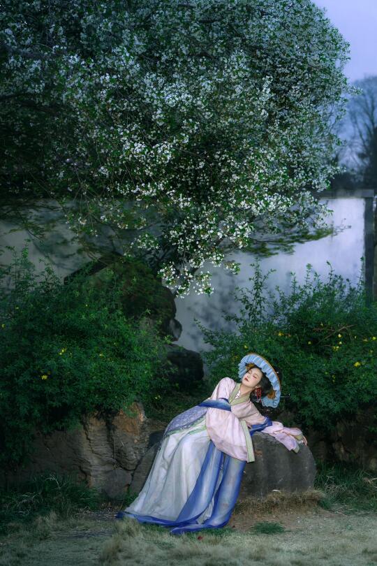 海棠影下，子规声里，立尽黄昏