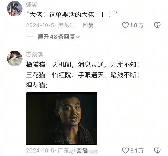 主人悬赏狸花猫找自家猫[笑cry] ​​​