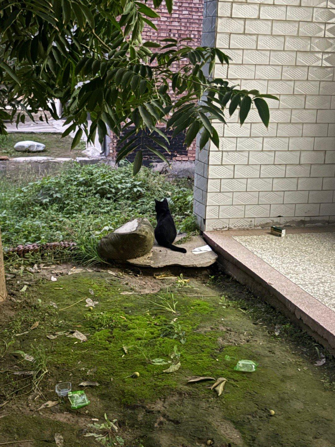 是你吗？ ​​​