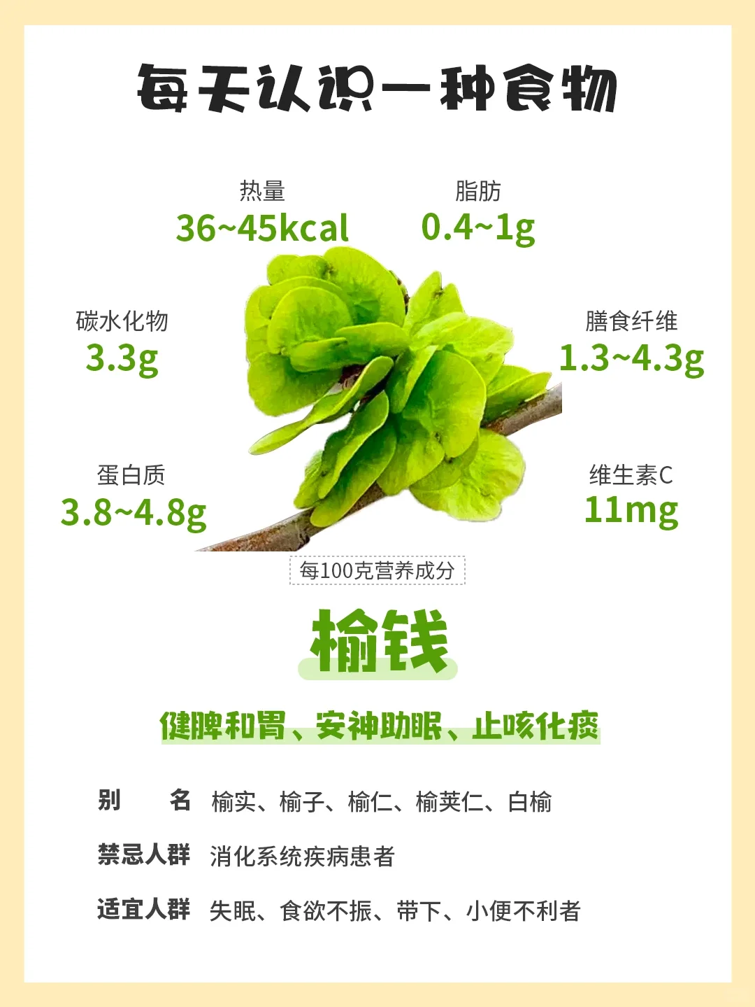 每天认识一种食物47｜榆钱