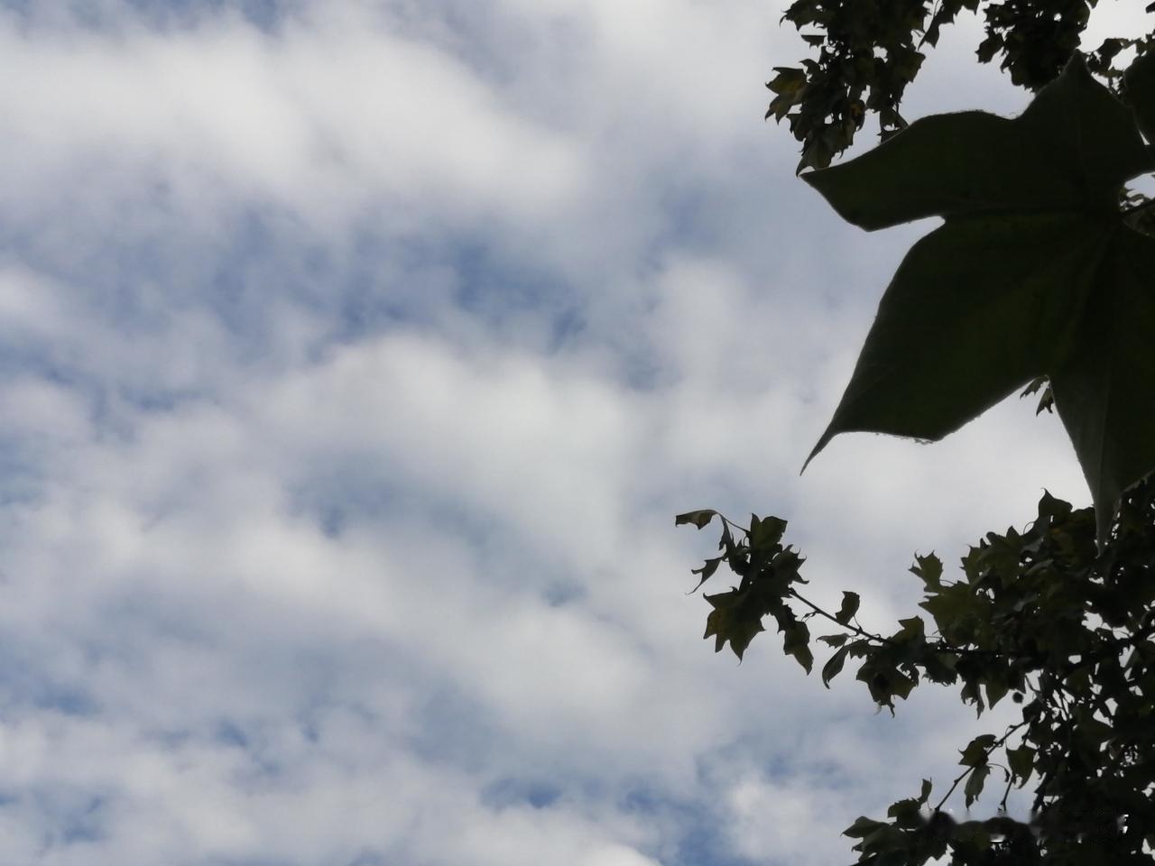 真正的教育，从来不是单向的灌输与约束，而是唤醒内心的自我觉醒。没有自我教育，就没
