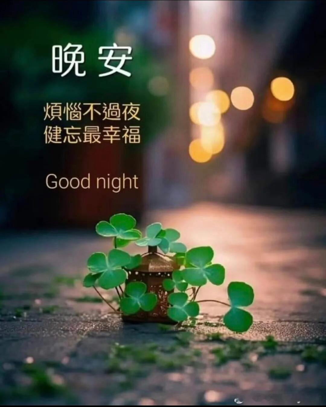 Good night 