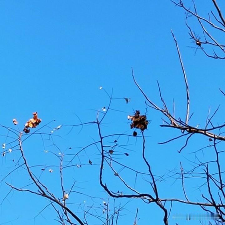 昨天吃了晚饭之后，我就把厨房的卫生收拾得干干净净？不到5分钟，我觉得我头有一点晕