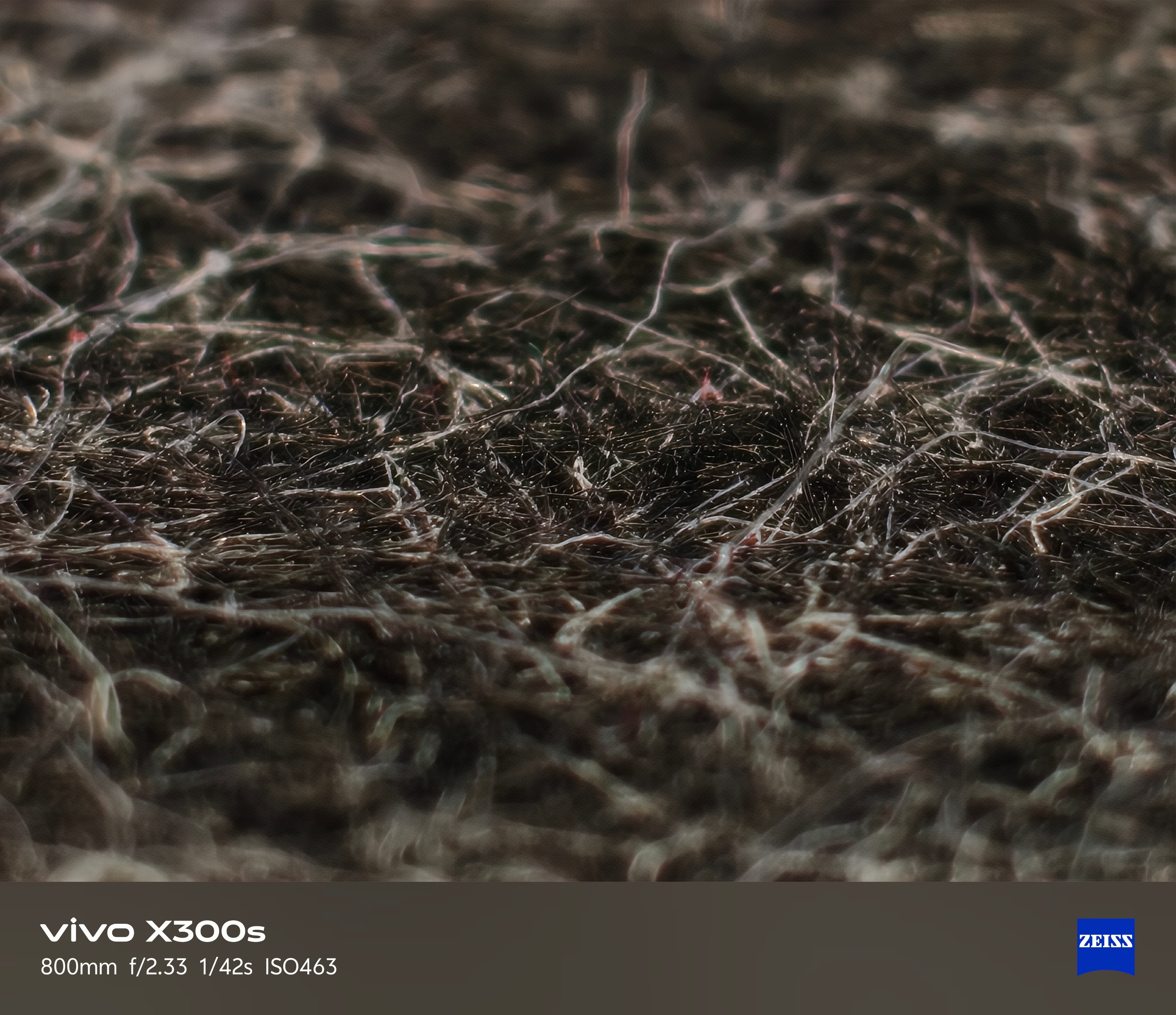 vivo 增距镜倒装，超级微距效果感受一下。有了3D打印真的太好玩了，有啥创意直