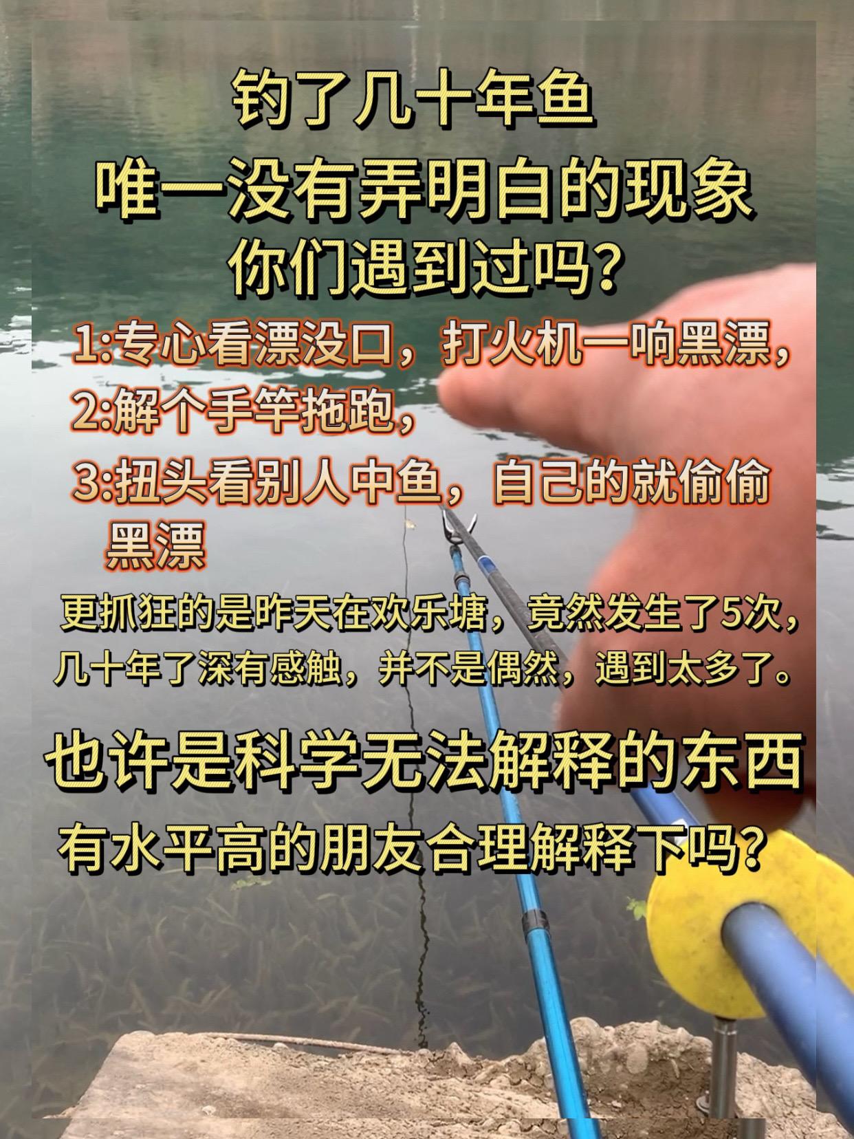 钓鱼几十年，这个现象还搞不懂，求合理解释。钓鱼这个现象并不是偶然，求合理解释