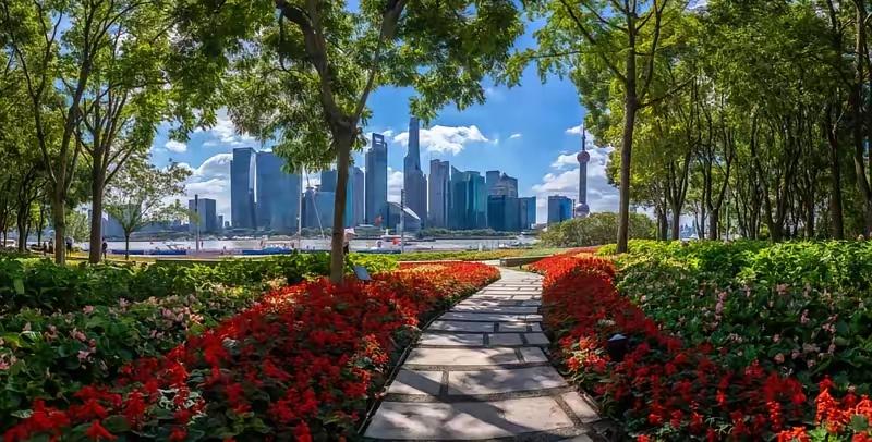 保定获国际大奖引争议，背后真相令人惊叹！
保定斩获国际花园城市E类城市金奖和艺术