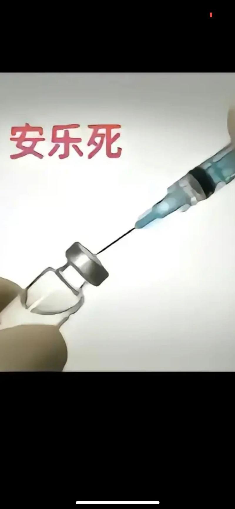 社会共同关注的话题：
                 为什么“安乐死”在中国立