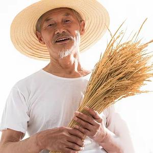 龙国行天下