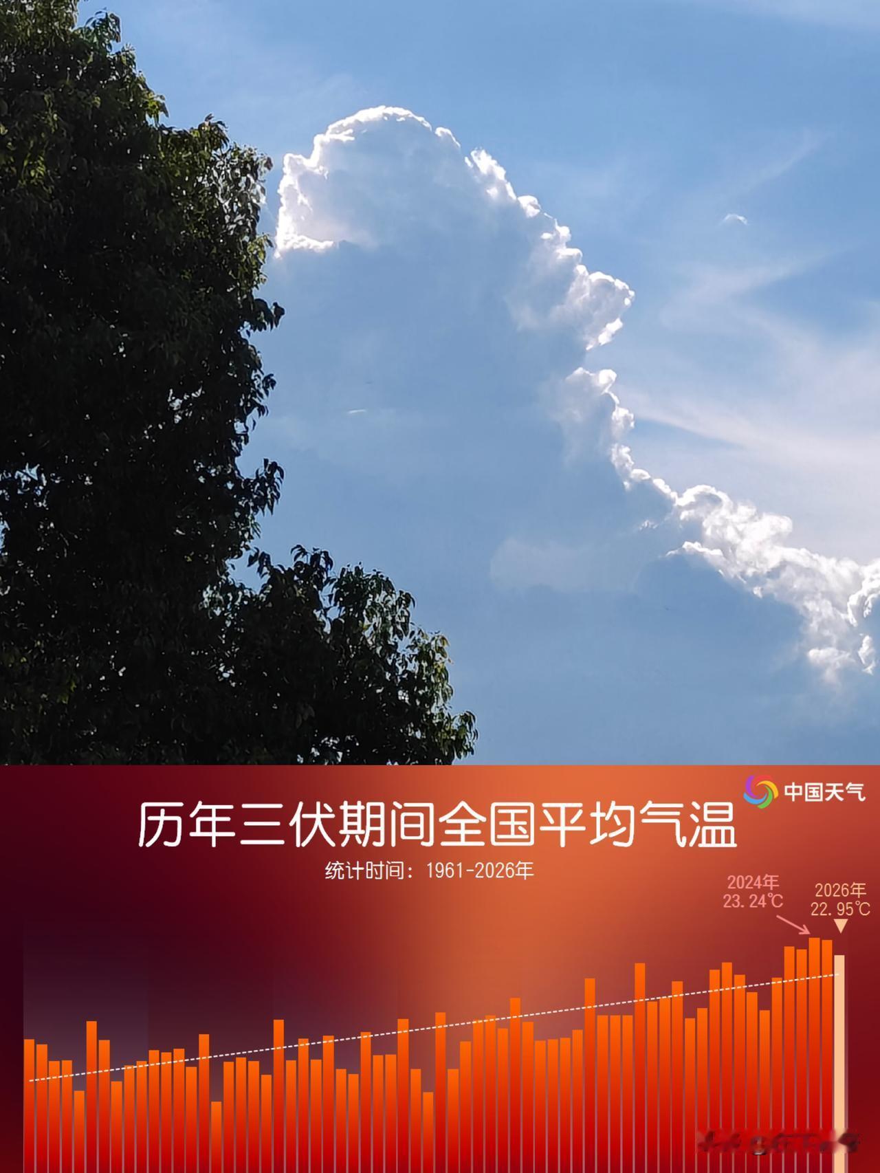 40天加长版三伏收官，为1961年以来第五热
四十天的加长版三伏终于画上句号。气