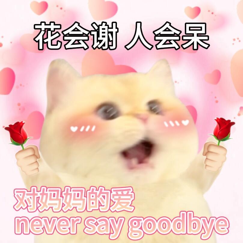 这届年轻人的送礼逻辑变了母亲节的礼物当然要精挑细选，妈妈舍不得买的我们来送，从不
