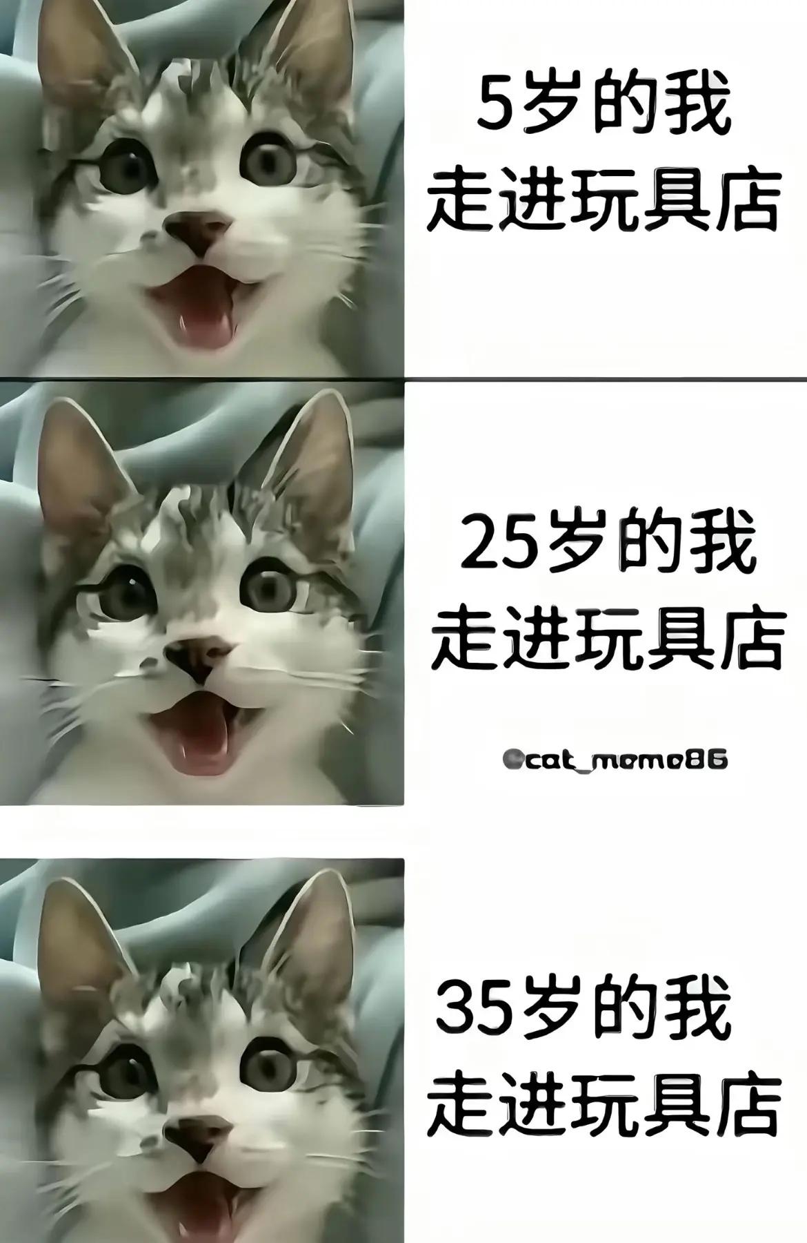 欲买桂花同载酒，终不似少年游