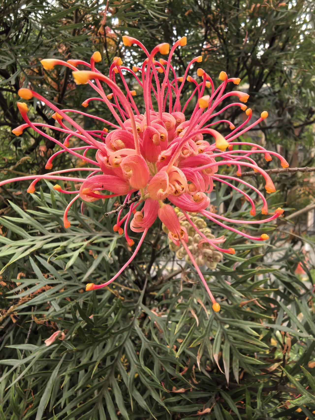 特变电工A股今日走势情况及展望

一、今日收盘行情概览（2026年4月28日）