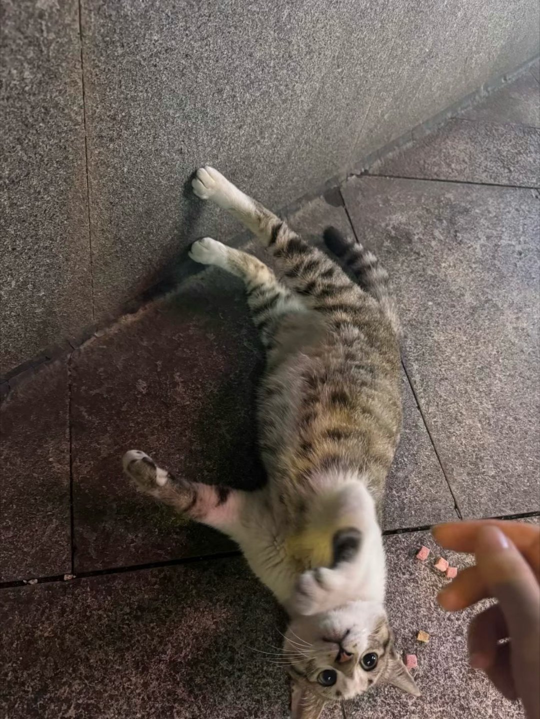 偶遇一只小可爱 