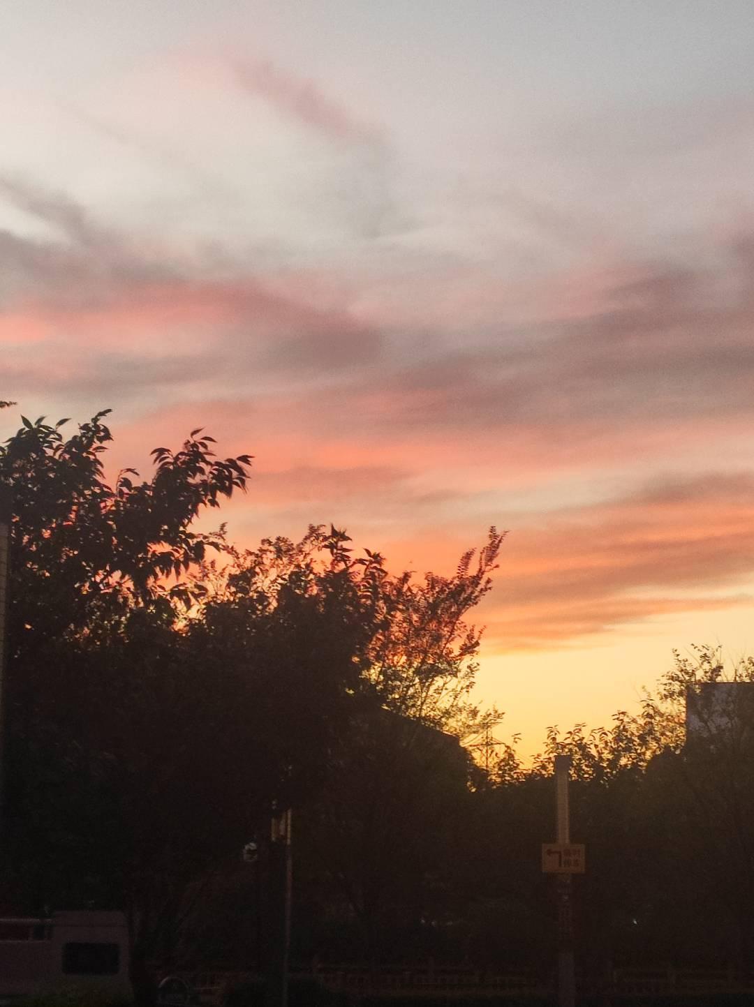 爱你的，淡淡的(终极版)

你尽可以退
本来我们就不是同类

不是因为是谁先犯了