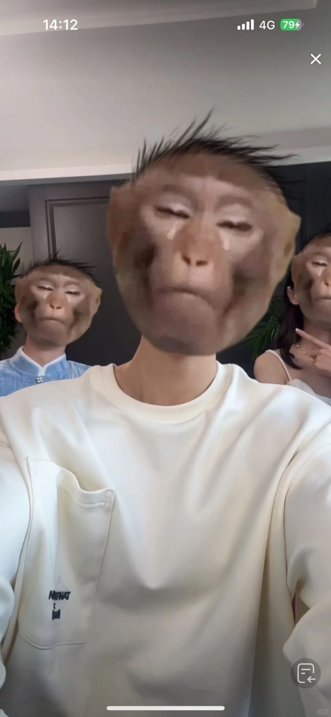 我看看有多少人换头像了？